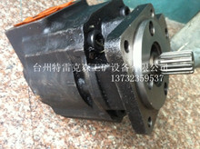 ׿˹TEREXTR100D15257475