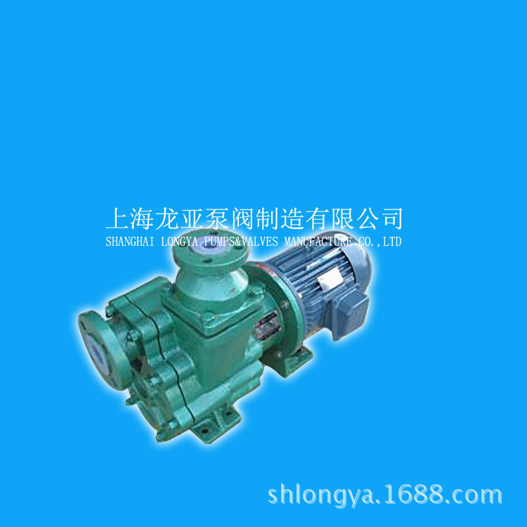 团批 上海40ZMD-20FL钠盐变频磁力泵 钛龙工程塑料磁力泵