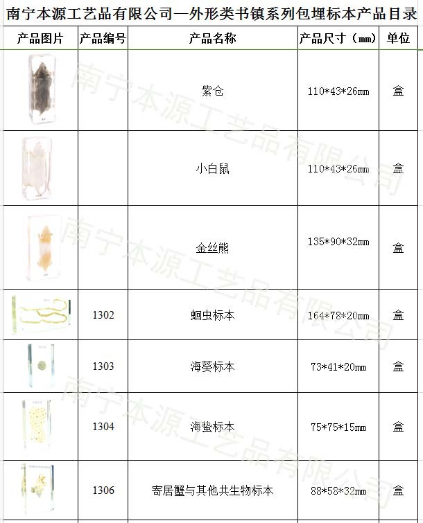 本源公司外形系列包埋標本19