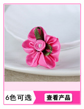 产品推荐32副本_27