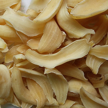 Longhui Aralia Lily extra-large size Made direct marketing