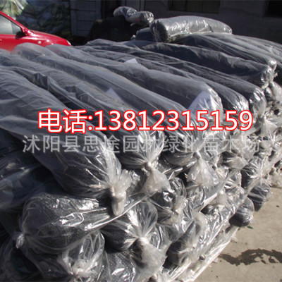 厂包边定遮光网 遮阳网防晒网加密加厚遮阴网庭院阳台大棚伪装网