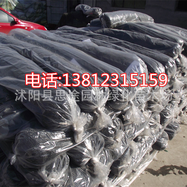 厂包边定遮光网 遮阳网防晒网加密加厚遮阴网庭院阳台大棚伪装网