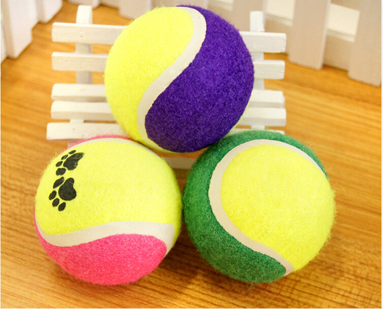 训练小宣憋尿_训练小宣憋尿供应商_训练小宣