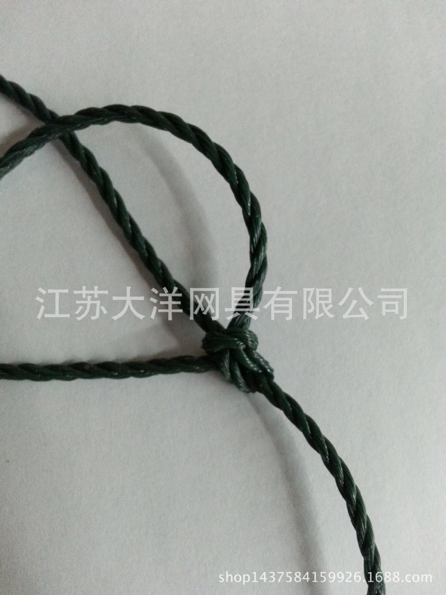 渔网 聚乙烯渔网 农业用网大棚网 厂家生产 大洋网具