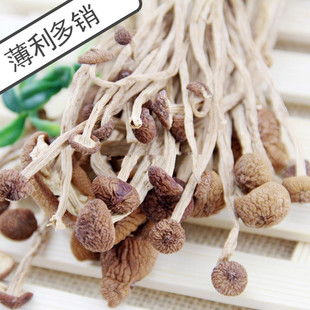 [Подпрофильные продажи] Грибы чайного дерева Fujian Gutian не открывают грибы с зонтиками, оптовые грибы зарплату 250 г/кусок