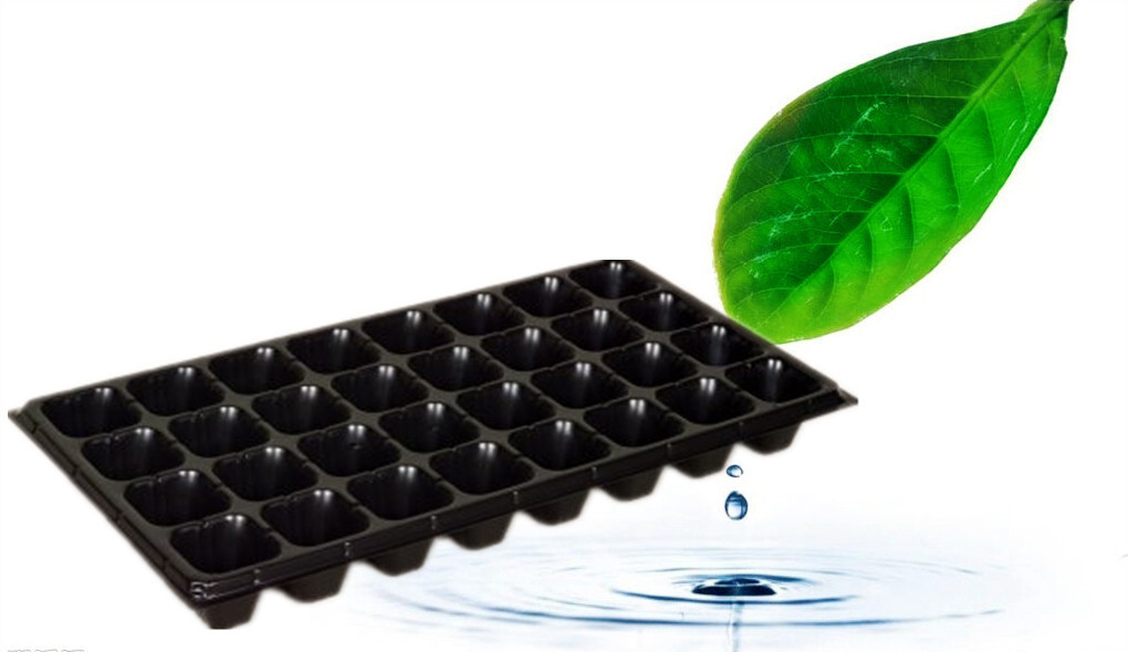 32穴蔬菜育苗盘