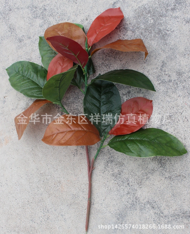 XRB-103秋高榕叶3叉枝14叶58CM