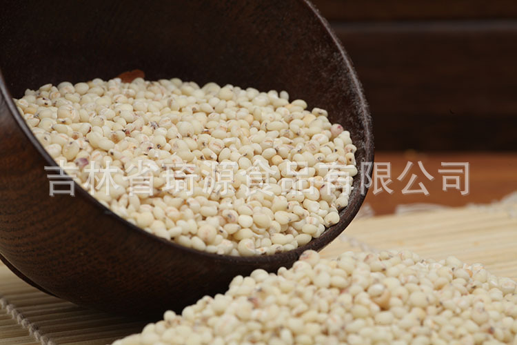 Low Temperature Baked Sorghum Millet Grain for Soy Milk and Congee quality and texture