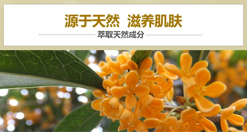 Mặt nạ mắt Boquan Yajin osmanthus chăm sóc mắt dưỡng ẩm cho đường kẻ mắt lăn trị thâm mắt