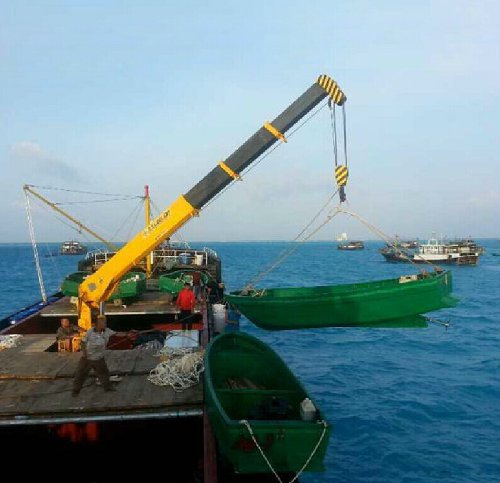 厂家直销 4吨船用直臂式 码头吊机 船用吊机 船尾吊 船用起重机