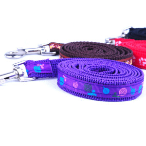 【小型泰迪犬】小型泰迪犬价格\/图片_小型泰迪