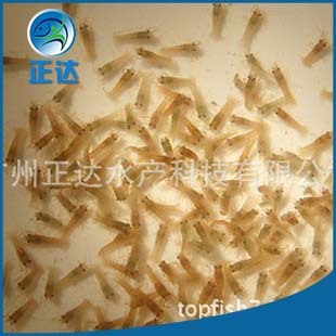 �������޵�ˮ���r�� ˮ�a�r�����r�S�����l ��ˮС���r�Bֳ�r��