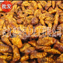 动物蛋白供应新鲜烘干蚕蛹,狐狸水貂饲料宠物饲料原料价格优惠