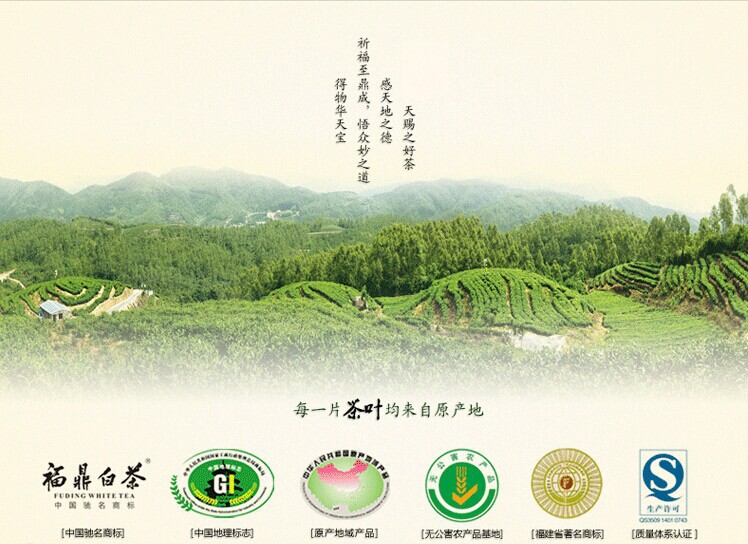 1524377063_1401369403