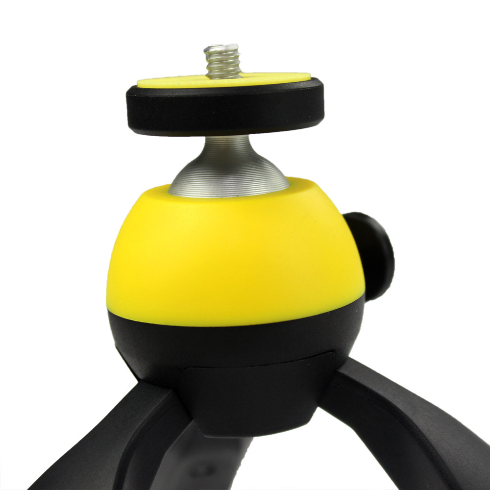 2502239825_2108336670