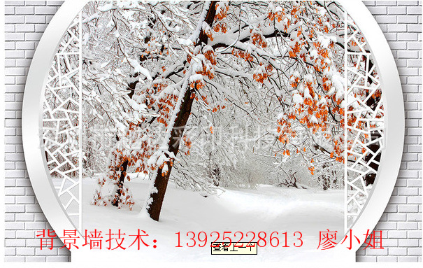 背景墙印刷效果