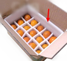 廠家定制通用水果包裝格泡沫/尺寸定制