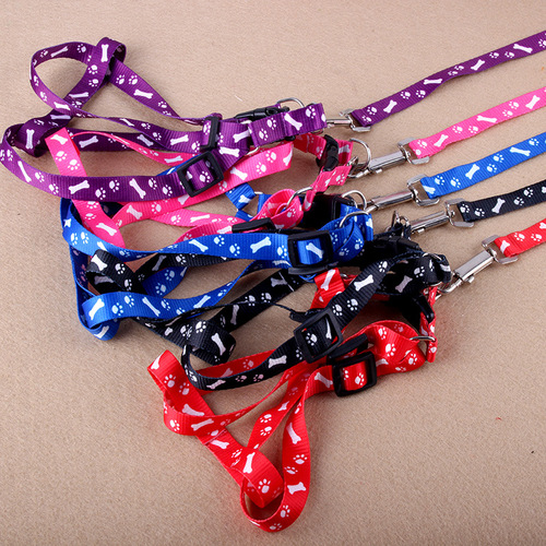 Wholesale 1.0CM Dog Leash Polyester Printed Puppy Pet Harness and Lead Set