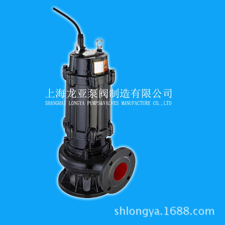 厂家供应250WQK600-12-37自动偶合废水排污水泵 化粪池污水泵