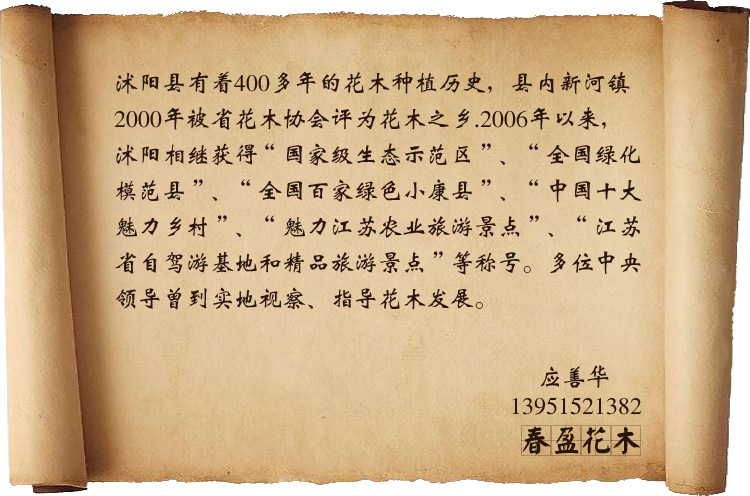 春盈花木