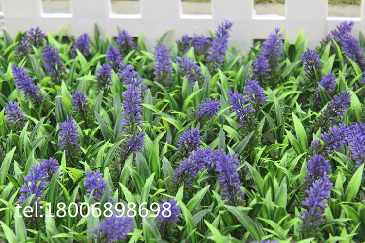 IMG_4863_副本_副本_副本