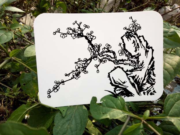 IMG201512161018473333