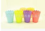 2015新款塑料迷你杯状花盆批发 多肉植物专用花盆批发 2815-2816