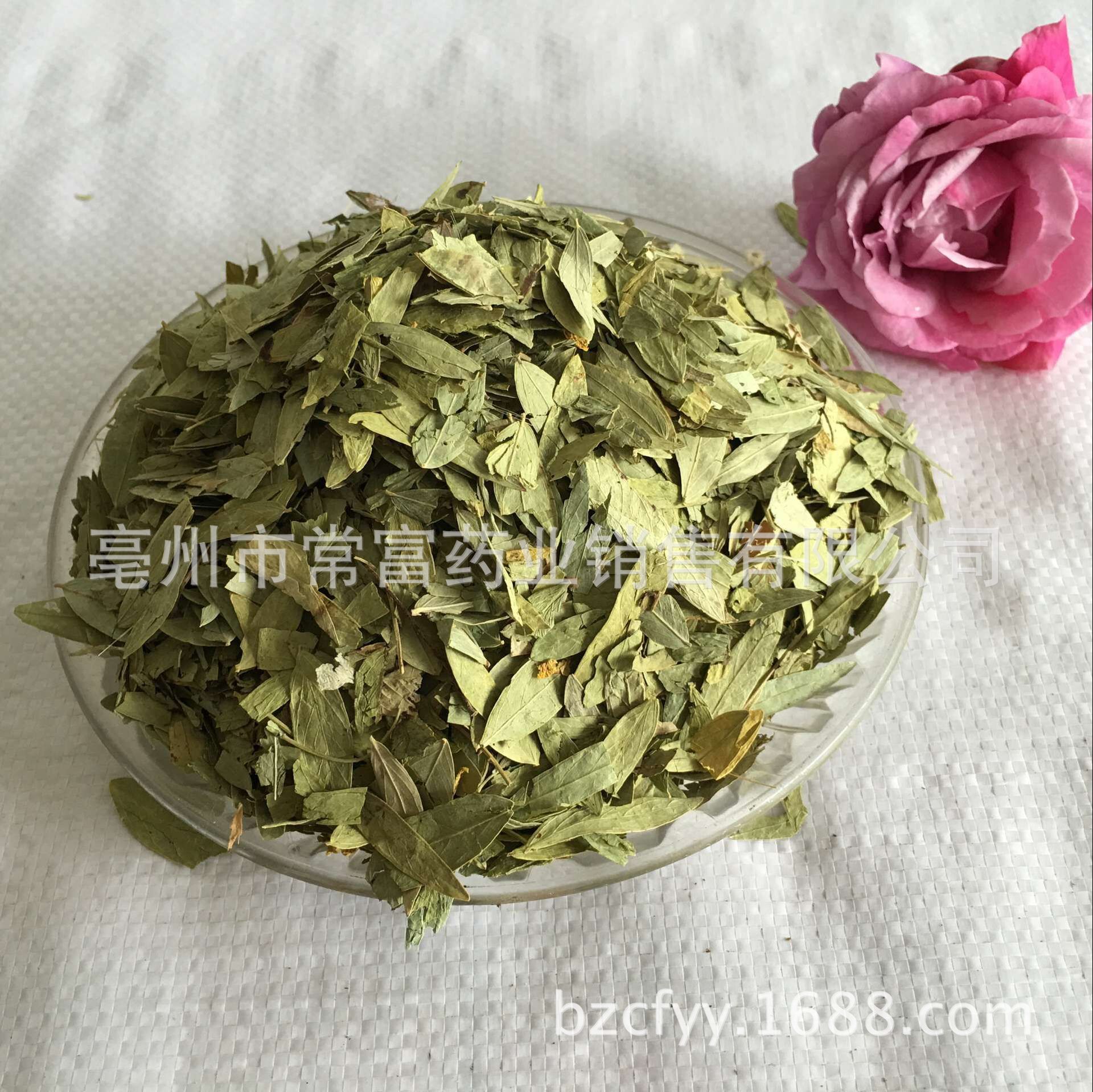 Senna Leaf Fan Xie Ye Dried Whole Leaves 500g Traditional Herbal Tea and Decoction Ingredient in use