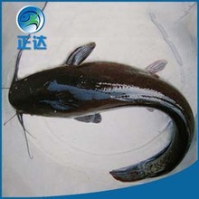 �gӭ�xُ�����T�~���r��ͥԺСˮ���Bֳ�ƏV���Ĵ��s��Ʒ�N���|