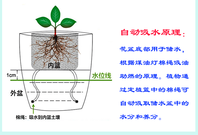 恐龙蛋_05