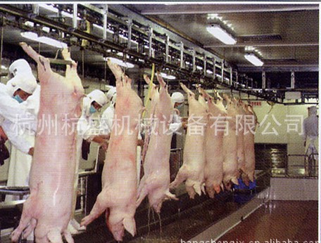 毛周屠宰设备