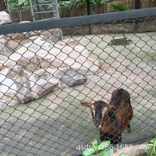 �����W �F؛1.8*2M�� �����W ���ο�