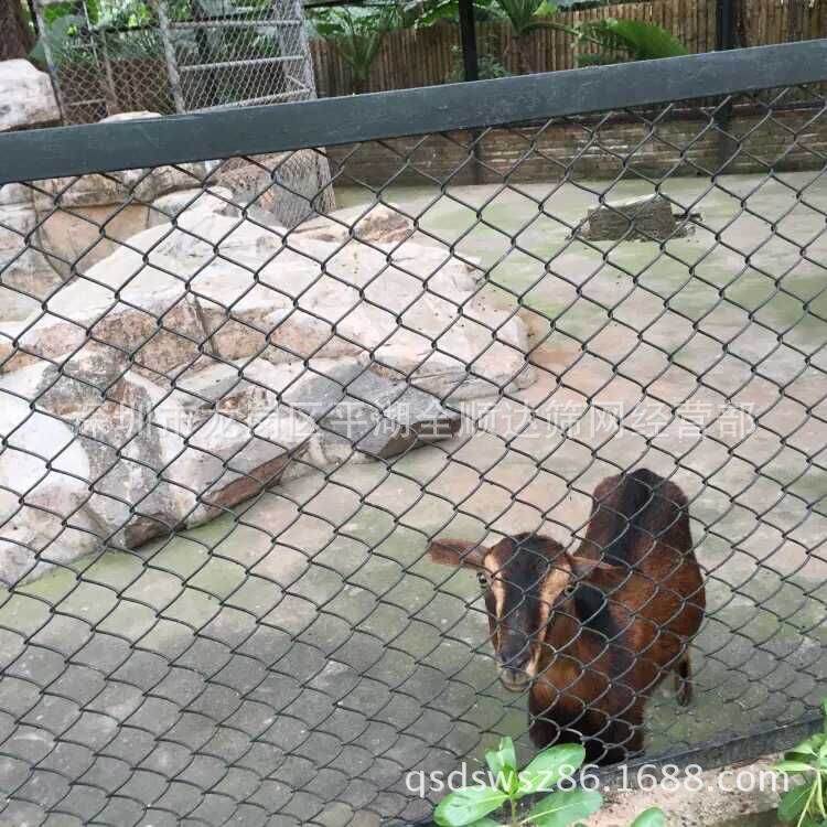 勾花网 现货1.8*2M宽 勾花网 菱形孔