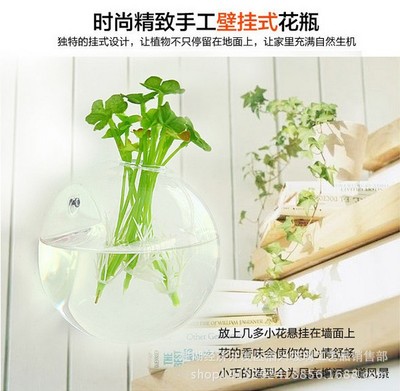 Hanging Wall Wall Vase transparent Glass Hydroponics decorate Containers originality Home ornament Trade price