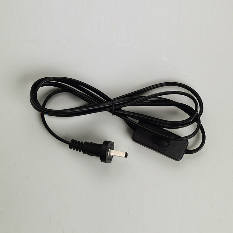 厂家供应D10两芯阿根廷带开关电源线 二芯插头线 关线