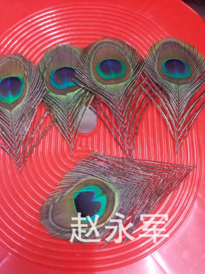 QQ图片20150403133041