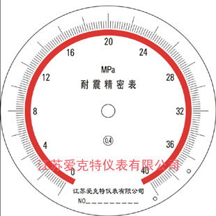 耐震精密壓力表 拷貝