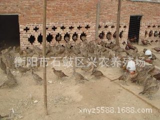 t01af5bdc2c23377831