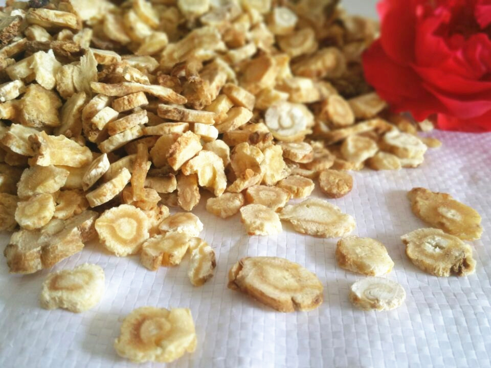 Dried Glehnia Root Slices Bei Sha Shen 500g TCM Herbal Decoction Pieces in use