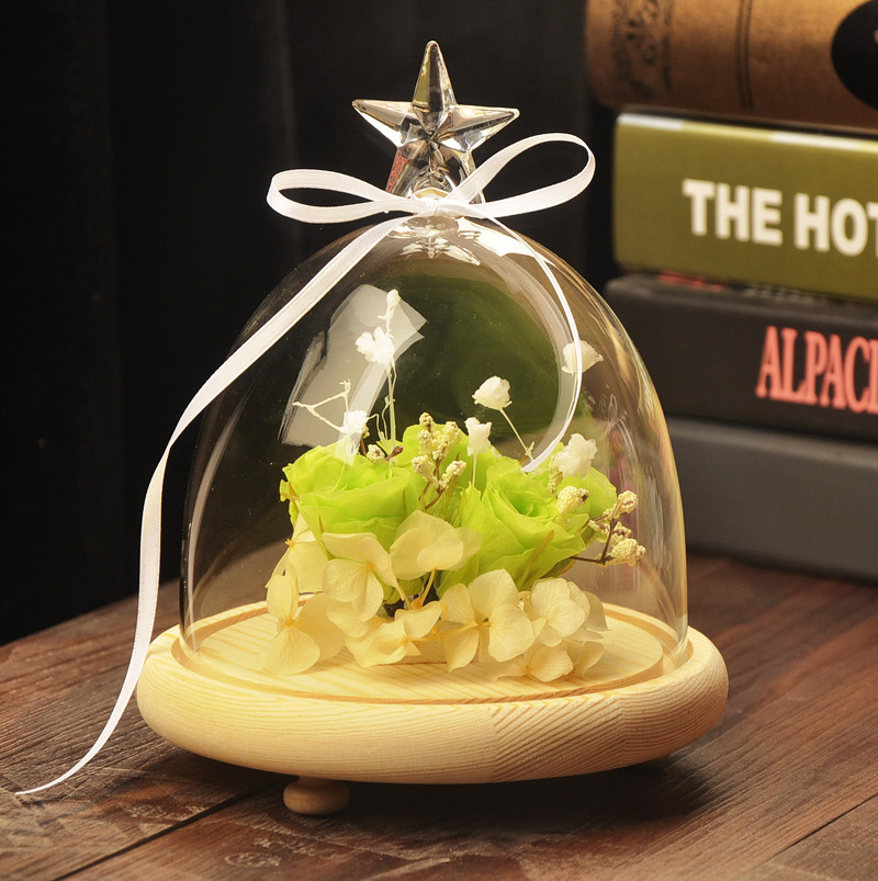 Mxmade vidrio creativo cubierta del paisaje ampliado estrella cubierta de vidrio micro paisaje florero regalo especial