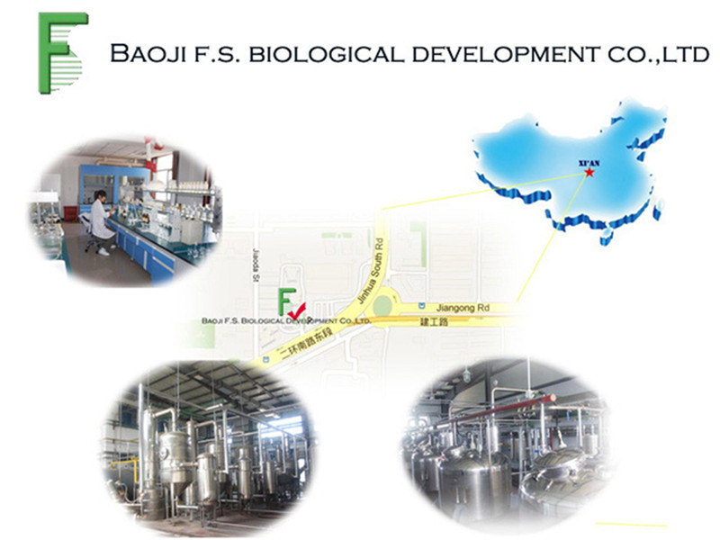 2009460902_1267102660[1]