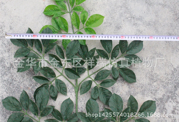 XRS-088五叉富贵叶95叶平面宽