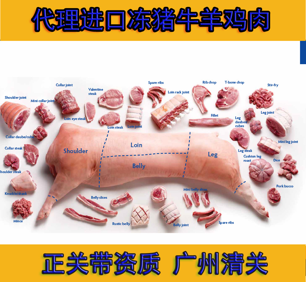 细胞因子组合促进猪肌肉干细胞体外高效增殖-未来食品科学中心