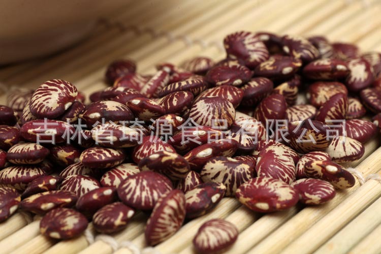 Low Temperature Roasted Cooked Kidney Beans Wholesale Five Grain Soy Milk Ingredient quality and texture