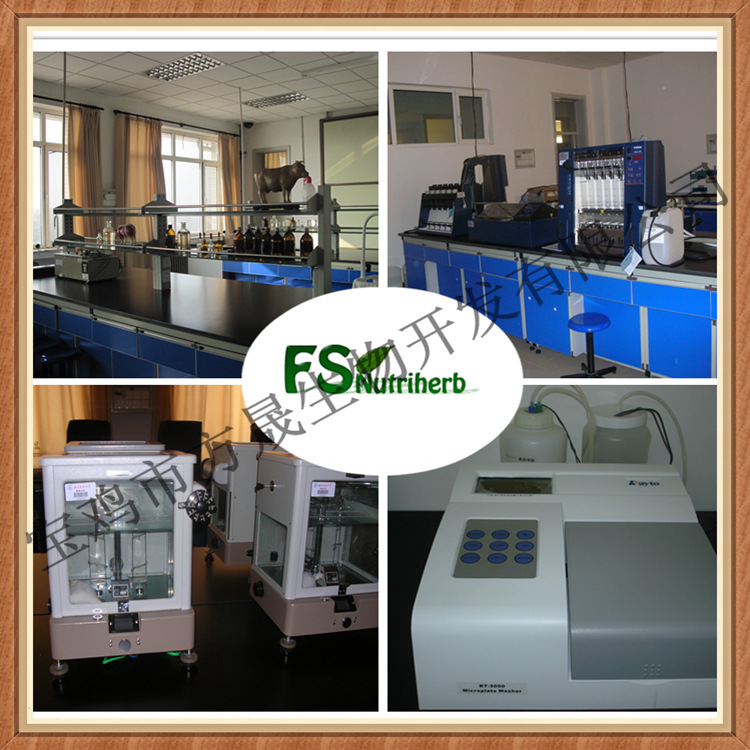 2056545339_1267102660[1]