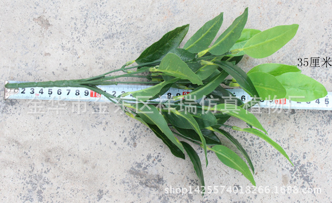 橄榄叶7叉35叶2