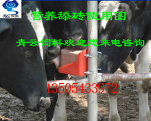 【奶牛肉牛营养舔砖】舔砖厂家供应牛羊营养舔砖