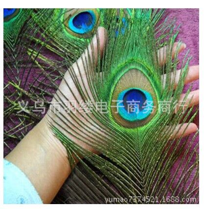 QQ图片20150714205938