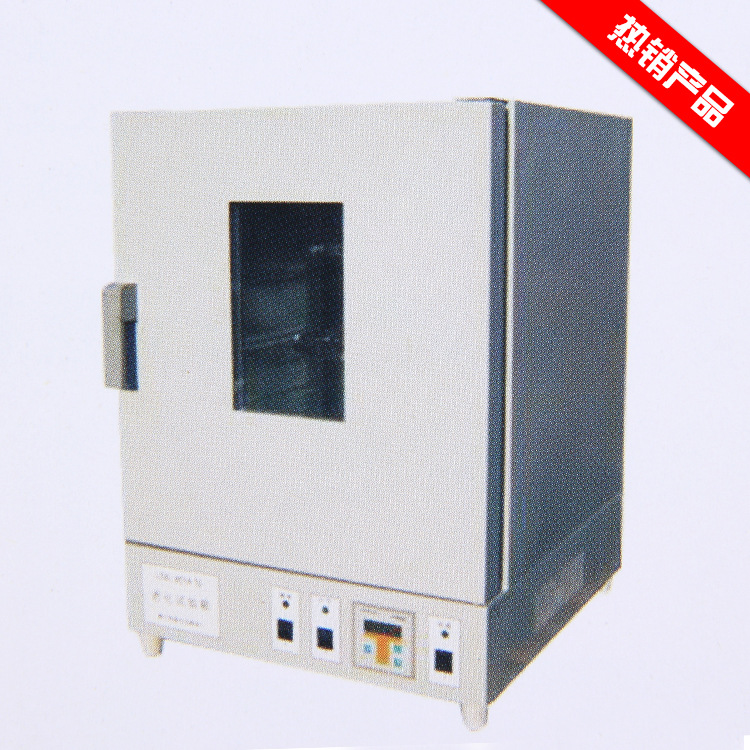 LSX-401A 老化试验箱  厂家批发 零售